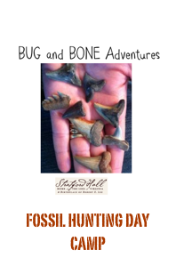 
￼FOSSIL HUNTING DAY CAMP