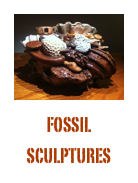￼FOSSIL
SCULPTURES