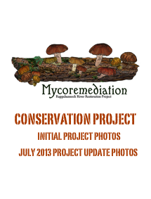 
￼Conservation project
     initial project photos
    July 2013 project Update photos


