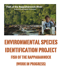 ￼environmental species
identification project
fish of the rappahannock 
(work in progress)
