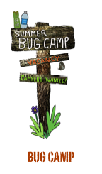 ￼bug camp