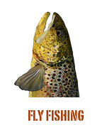 ￼FLY FISHING